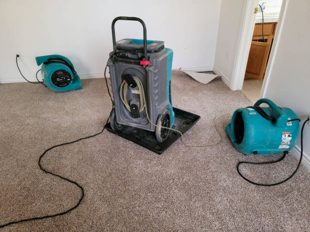  Beacon Square, FL Water damage restoration Pros