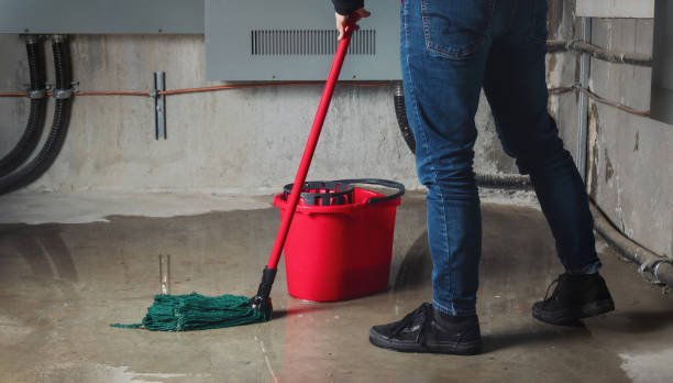 Best Sewage cleanup and water damage restoration  in Beacon Square, FL
