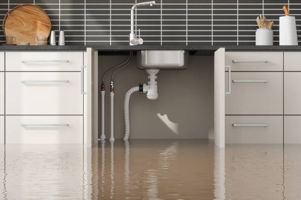 Best Residential water damage restoration  in Beacon Square, FL