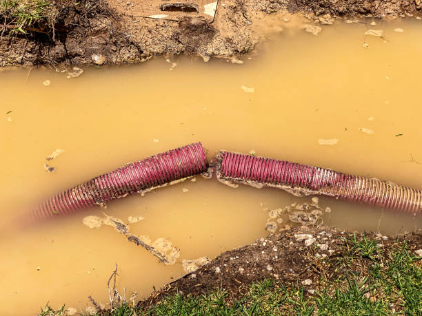 Best Water damage cleanup near me  in Beacon Square, FL