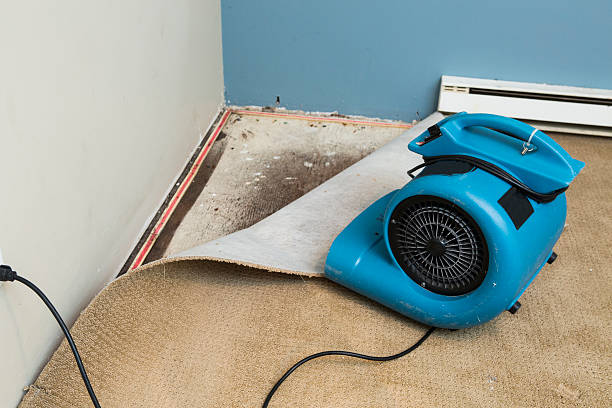 Best Local water damage restoration  in Beacon Square, FL